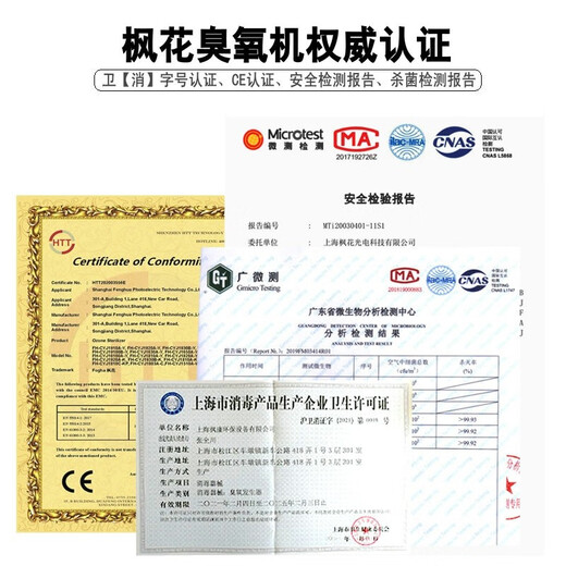 Maple 10G ozone sterilizer CYJ1910A-Y ozone generator industrial sterilizer factory food factory purification workshop breeding farm cold storage warehouse sterilization pipe water disinfection 201 stainless steel material (recorded model)