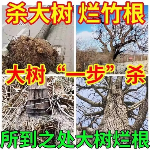Cyclazinone tree killing powder, dead tree removal, big tree root rot agent, strong killing big tree special medicine, gardening fertilizer, dead tree, 1 barrel special type