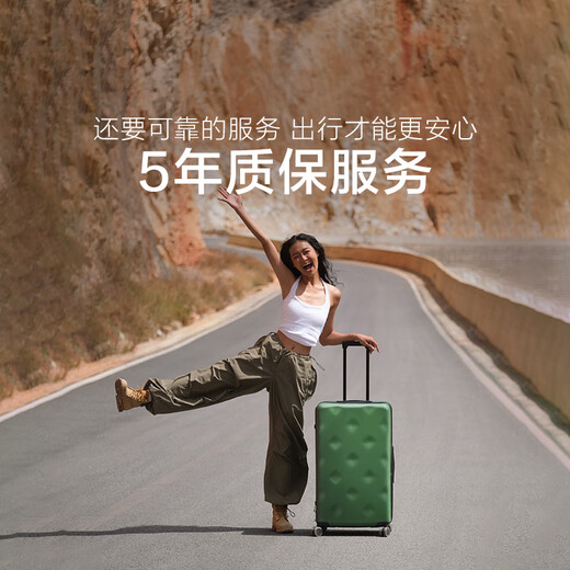Bremen suitcase trolley suitcase travel box large capacity female student male overseas checked password box 26 inches green