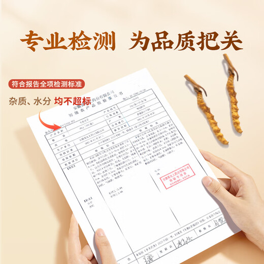 雷允上冬虫夏草冬虫夏草精选品质高洁净虫草送父母送亲友礼物送礼送长辈 冻干虫草A40-20g