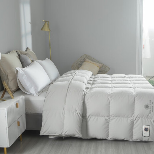 Hengyuanxiang Quilt Core Antibactérien Antibactérien Goie Velvet Couette blanche GOOSE VELVET CHAUD ANTI-DIAMOND VELVET AUTUM