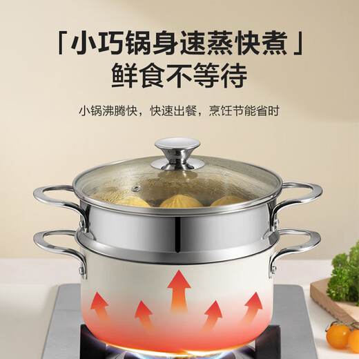 SUPOR steamer 304 thickened stainless steel composite bottom double-layer steamer soup pot large gas open flame induction cooker universal EZ22SAS01-W- 22cm