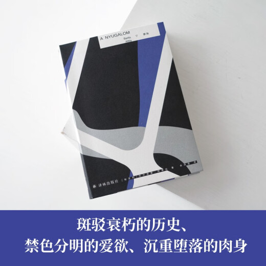 Ning Jinghai (представительная работа Балтиса Аттилы, наследника Милана Кундеры, сопоставима с лауреатом Нобелевской премии Джелинк <учитель фортепиано>) 97875447 ** 677 [Венгрия] Балтис Аттила Йилин издательство издательство