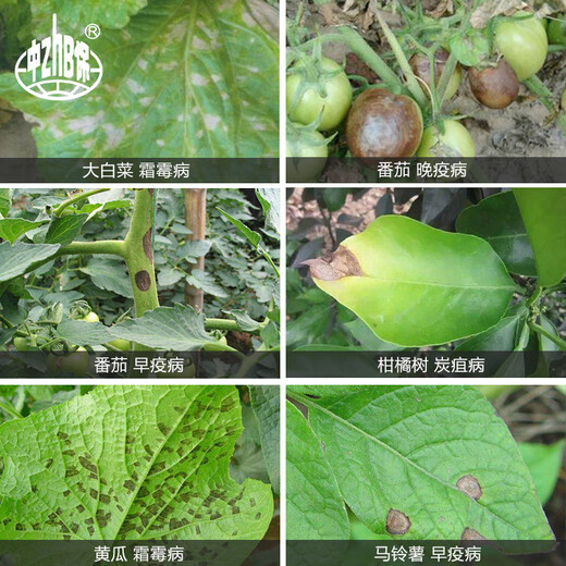 Bayer Germany's Antaisheng 70% proponium zinc early blight downy mildew powdery mildew leaf spot pesticide fungicide zinc supplement 1000g/bag