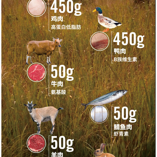 Birigi Seis tipos de comida para perros sin carne Husky Teddy Puppy para adultos para adultos Food Meat Fresh Dog Food 8 kg