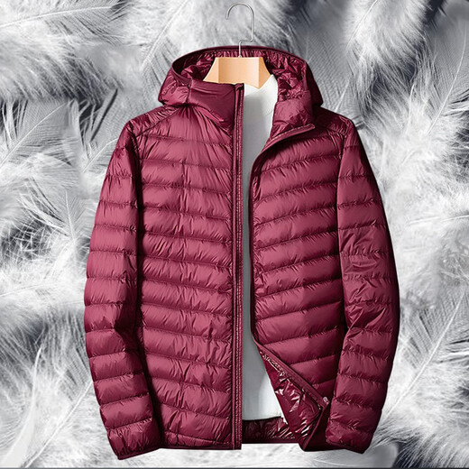 Woodpecker Lightweight Down Jacket Men's Short Winter Jacket Men's New Ultra-Light Casual Young and Middle-aged White Duck 16050 Black (Stand Collar) 2XL (160Jin Jin is equal to 0.5kg -180Jin Jin is equal to 0.5kg)