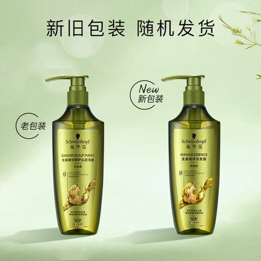 Schwarzkopf Ginger Essence Shampoo Contrôle de l'huile de type 600 ml [Décage d'expiration]