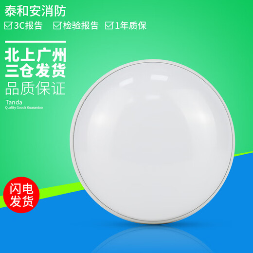 泰和安集中电源控制型应急照明灯具吸顶嵌墙式疏散照明指示灯 TS-ZFJC-E12W-6628G 吸顶式