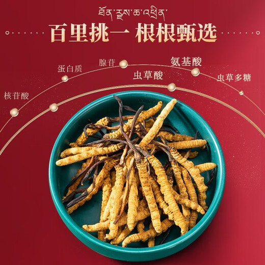
[Tibet Straight Hair] Nagqu First Stubble Cordyceps Authentic High-altitude Dried Cordyceps Gift Boxes First Choice Special Cordyceps King 2 Roots/G 100 Roots