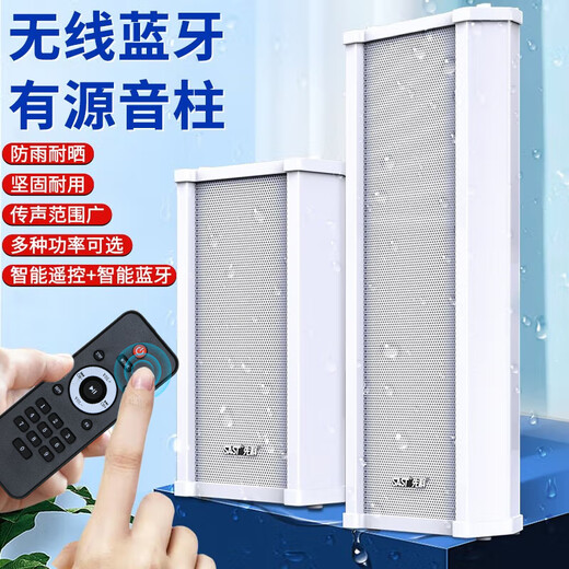 先科（SAST）50W一拖一户外蓝牙防水音柱室外壁挂式音响功放挂墙喇叭套装音箱操场公园会议公共广播店铺音乐