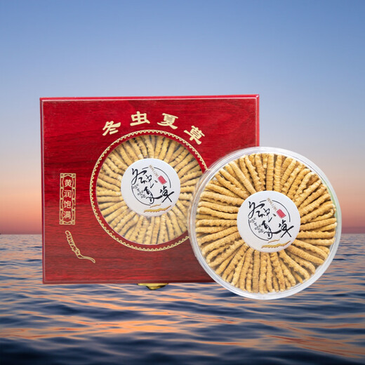 冬虫夏草礼盒装正宗虫草10克装50条高海拔正品虫草干货虫草礼盒装 正宗藏区2根1克大虫草 30克装