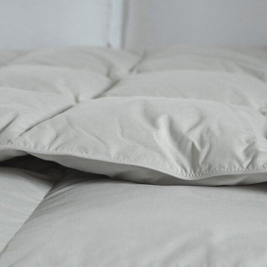 Hengyuanxiang Quilt Core Antibactérien Antibactérien Goie Velvet Couette blanche GOOSE VELVET CHAUD ANTI-DIAMOND VELVET AUTUM