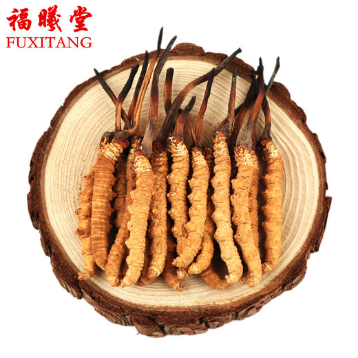 福曦堂 西藏 那曲冬虫夏草 虫草 1根的价格 7-9根1克的小冬虫夏草1根价