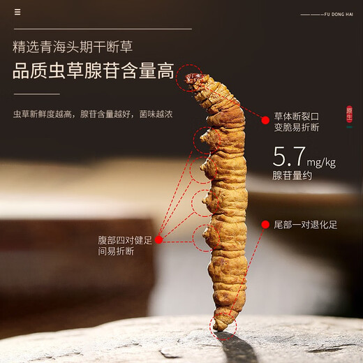 福东海 冬虫夏草10克 一级干断草 青海高品质虫草饱满礼盒滋补品送礼