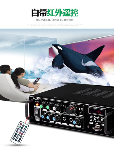 
Sony Esports SA-1600 home KTV amplifier high-power audio Bluetooth AV amplifier professional fever HiFi conference new mini 2.0 fixed-impedance public amplifier combined power 120W (KTV mid-pack sound effect)