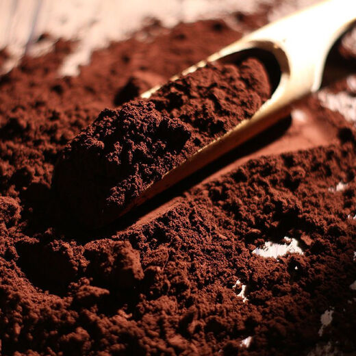 Jianyi Changbaishantoudao Ganoderma Lucidum Spore Pulver Special Grad gebrochene Schale Spore Nordost Jilin Spezialität [Nettogewicht 250 Gramm] Toudao Ganoderma lucidum Sporenpulver