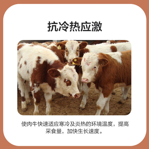 East China Zhengda 4% beef cattle and sheep premixed calf and lamb fattening cattle and sheep material to fatten and gain weight, pull the skeleton without diarrhea, 1 bag of beef cattle special material