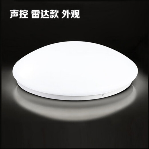 雷雷智光 声控灯LED雷达人体感应灯声光控吸顶灯楼道楼梯走廊工程车库灯 21CM LED6W声光控