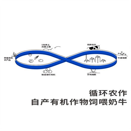Asahi Vipshop yogurt ranch/raw coconut/cherry blossom viewing buttermilk 100g*4 cups*3 boxes Ranch low-temperature yogurt cherry blossom viewing buttermilk 100g*4 cups 3 boxes