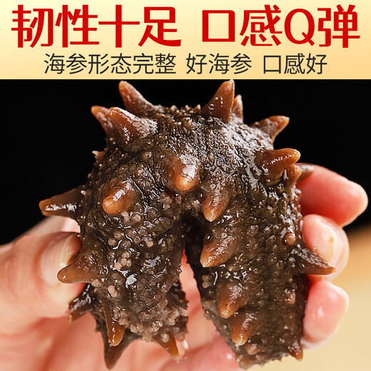 Royal Kirin Ready-to-eat sea cucumber Ready-to-eat Dalian sea cucumber single package Liao sea cucumber dry sea cucumber aquatic product gift box net content 500g 7A ready-to-eat sea cucumber 31-50 pieces/Jin Jin equals 0.5 kg Two Jin Jin equals 0.5 kg Best-selling pack
