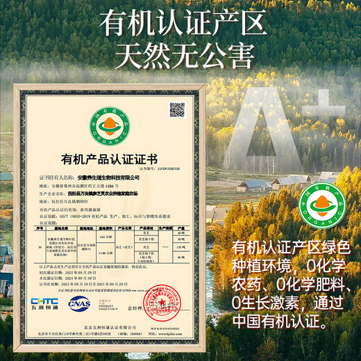 Tongrentang Ganoderma lucidum spore oil spore oil enhancement immunity Ganoderma lucidum spore powder gift box for gifts for elders Ganoderma lucidum triterpenes snake year limited [light luxury gift box] 6 bottles + gift spore powder