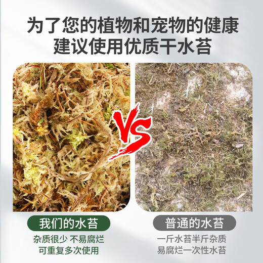 Shangyang sphagnum moss about 12L (level 2) turtle hibernating climbing pet Clivia orchid moss potted fluffy moisturizing nutritious soil