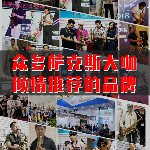 萨尔特次中音萨克斯管乐器专业成人降b调SP-6600 进口铜材 台湾原装原产 仿古青铜色