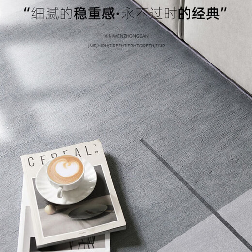 
Hazar HAZARD Living Room Carpet [Environmental Three-proof Ring Fleece] Coffee Table Carpet Modern Simple Sofa Bedroom Floor Mat Customizable for Home Use Upgrade 15905 120*160cm