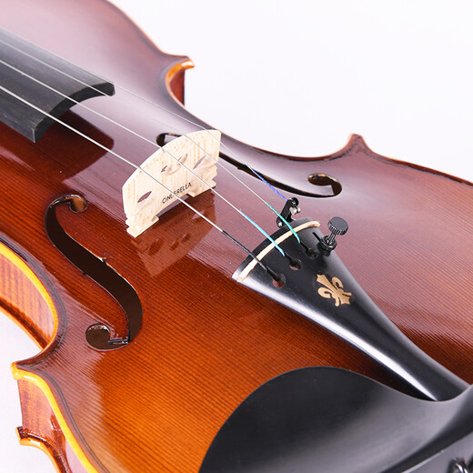 Taishu TV-010 Importé European Handmade Violin Professionnel Pure Enfants faits à la main pour débutants jouant au violon 1/8 Dark Brown adapté à la hauteur 105-120cm