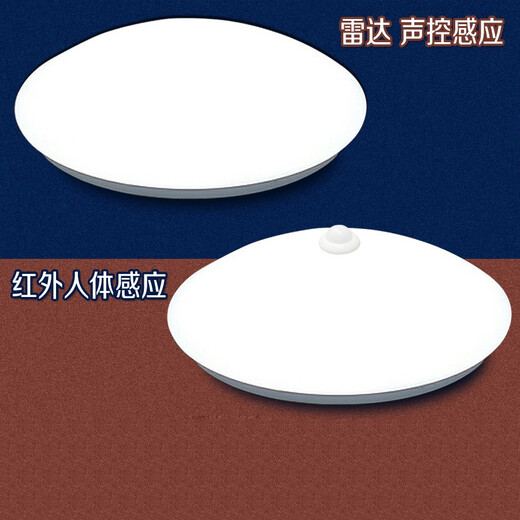 雷雷智光 声控灯LED雷达人体感应灯声光控吸顶灯楼道楼梯走廊工程车库灯 21CM LED6W声光控