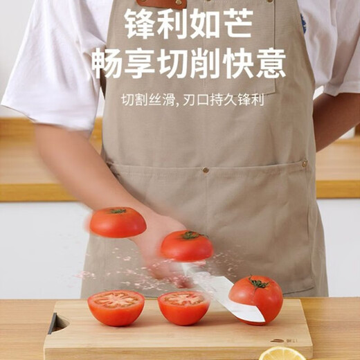 拜格（BAYCO）刀具菜刀套装不锈钢厨房削皮刀砍骨刀水果刀剪刀菜板刀具砧板全套一体BD30058