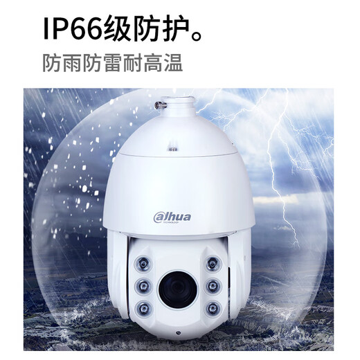 dahua大华200万网络高速球机变焦变倍高清监控摄像头室户外360度全景云台旋转全彩夜视 DH-SD6223-A-i智能全彩球 全国联保