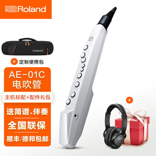 罗兰（Roland）ae01电吹管电萨克斯自带音源民族音色ae05c初学入门电子管乐 罗兰AE01C电吹管标配+礼包