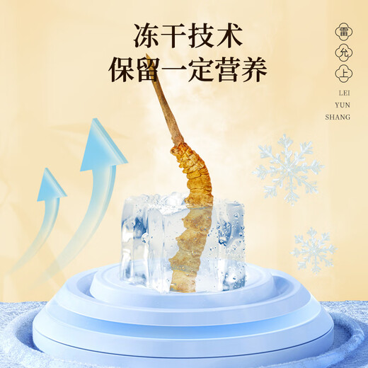 Lei Yunshang [Official] Cordyceps Sinensis Высококачественные подарочные коробки Cordyceps для подарков старейшин для здоровья и высококлассных подарков для других [Подарки для благородных людей] Cordyceps 5 Roots/G 10G Около 50 корней