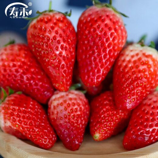 Shouhe Cream Strawberry Seeds Indoor Four Seasons Winter and Spring Potted Cream White Strawberry Winter and Spring Sowing Seeds Four Seasons Strawberry Seeds 200 capsules/bag