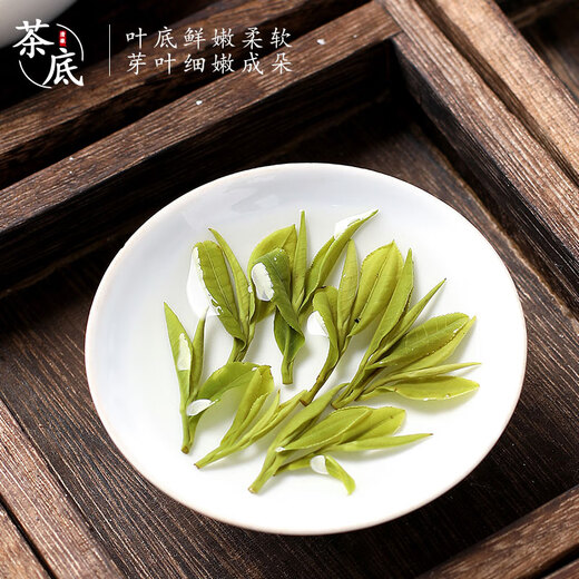 Yanhai Yuexi Cuijian 2024 new tea Cuiya Gongjian green tea Cuilan gift tea Mingqian high-end tea Anhui Anqing Maofeng 500g Mingqian bud