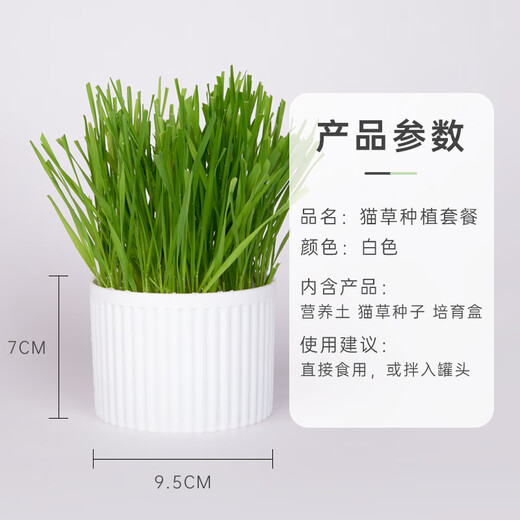 Huanpet.com cat grass potted seed set, lazy canned hydroponic soil culture, cat snacks, cat hair balls, catnip