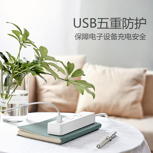 公牛（BULL） USB插座小白带智能排插手机快充电多功能接线板迷你小插排插线板 6插位[20W快充]1.8米U12033