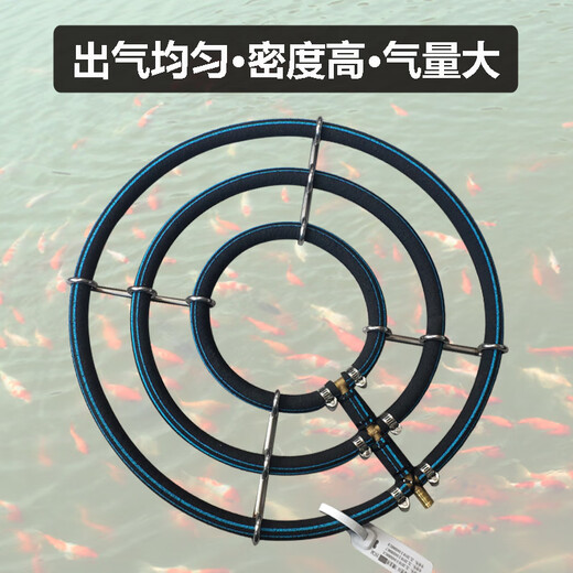 锦鲤鱼池气泡圈纳米爆氧气盘大型鱼缸细化增氧气泡条管鱼塘不锈钢 2圈25cm+海利9720气泵20W 配4米