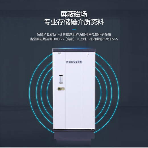 WANPUDUN anti-magnetic cabinet hard disk archive CD cabinet audio and video cabinet small degaussing cabinet information security cabinet moisture-proof cabinet 6 drawers