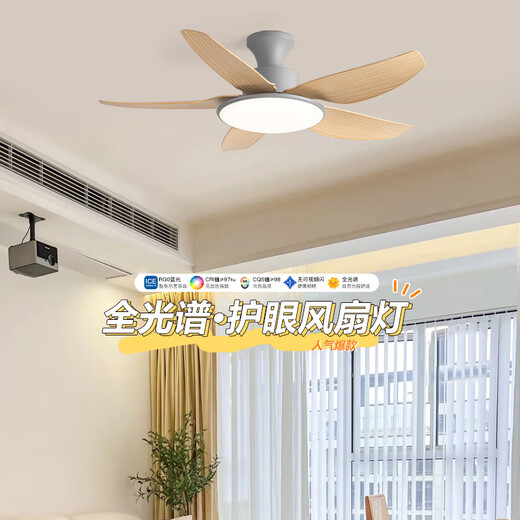 Weather Vane (FXB) Nordic Full Spectrum LED Restaurant Fan Light Wohnzimmer Schlafzimmer Home einfache modern