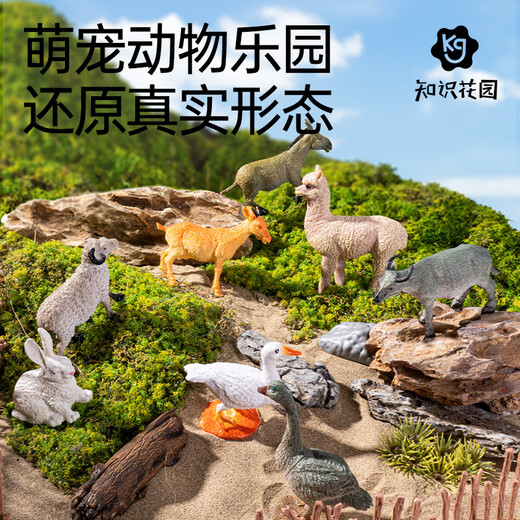 知识花园动物模型玩具儿童3-6岁仿真动物园男女孩生日礼物27件套