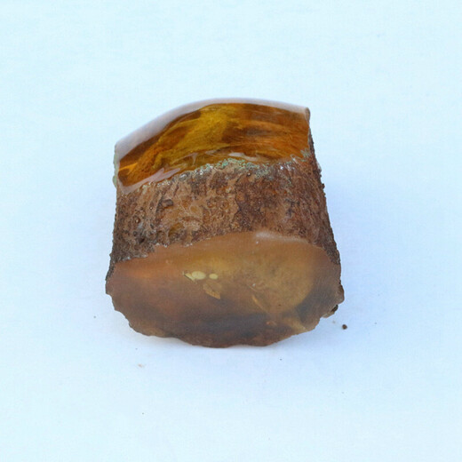 Artificial amber specimens, small animal living raw stones, real gecko lizards, beeswax amber fossil ornaments, picture color