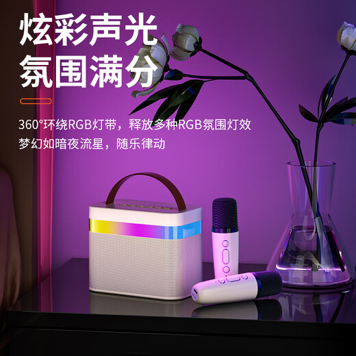 Newmine DP99 microphone and audio integrated sound card karaoke microphone home ktv audio set wireless bluetooth speaker singing artifact all-in-one children's entertainment microphone dual microphone