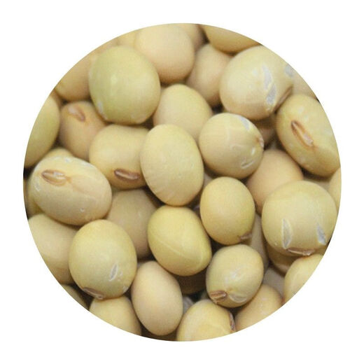 Thousand Jin Jin is equal to 0.5 kilograms of soybean seeds. Farmers grow high-protein soybean seeds in large fields. Soybean seeds. Bawangbian 5 Jin Jin is equal to 0.5 kilograms.