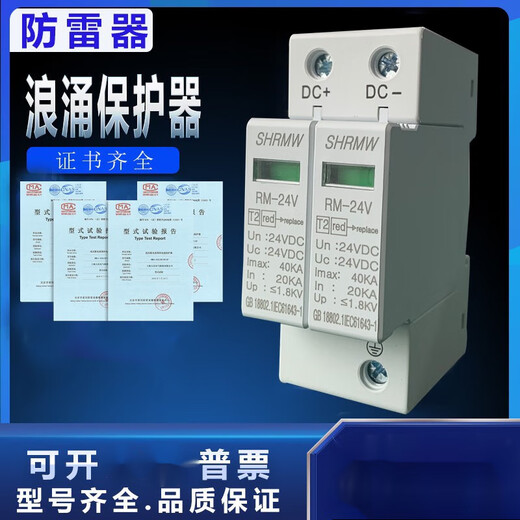 Shanghai 2P DC power supply lightning protection DC24V anti-surge protector monitoring 12V module 1000V white 12V DC
