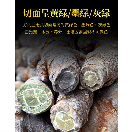 Kang Yuzun Panax notoginseng Yunnan Panax notoginseng Tablets without cuts [7 heads 7 with cuts 500 grams]