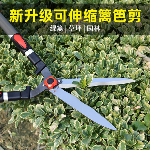 MYTEC garden shears, retractable pruning shears, lawn and hedge shears, garden pruning shears, green plant and hedge thick branch scissors, white-blade wavy fence shears, four-speed telescopic shears
