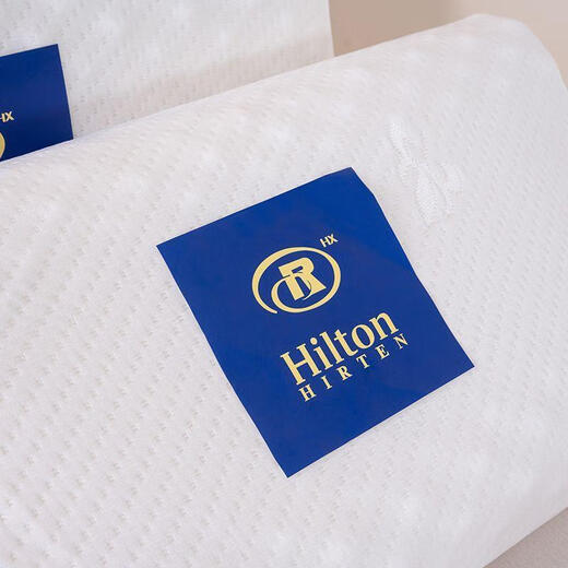 Memory foam pillow wholesale spot factory quick release latex pillow core hotel single student pillow (30*40) 21% selection