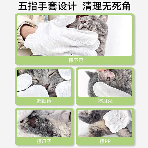 Pilot Pet Disposable Gloves Wet Wipes Cat Cleaning Dog Dry Cleaning Bath Disposable Wipe Feet Butt Tear Marks 12 Pieces